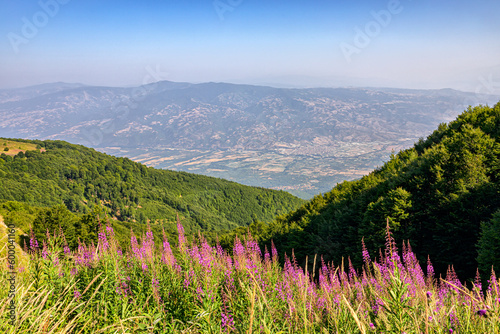 Summer View of Belasica Mountains, Bulgaria