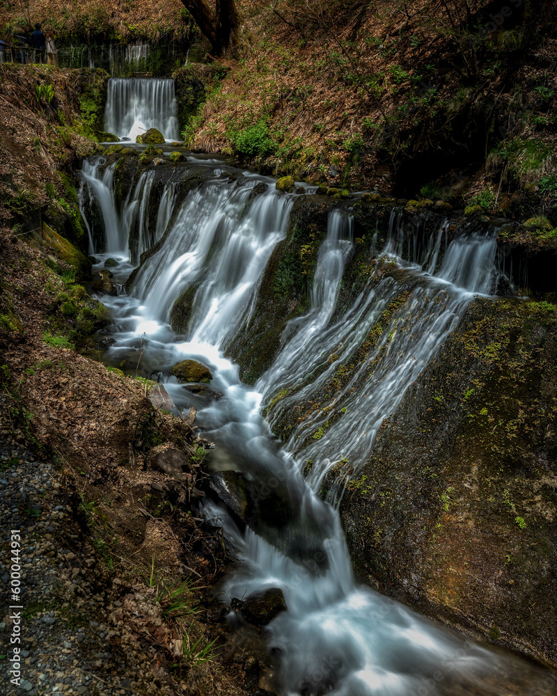 Fototapeta premium 長野県軽井沢町 春の白糸の滝