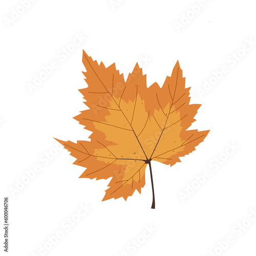 Illustration of autumn leaves for an element or more 