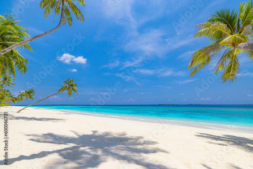 Beautiful travel landscape Summer background nature of tropical paradise beach, sunlight palm tree leaves. Tranquil sand beach close-up, sea, blue sky, white clouds. Copy space exotic vacation concept