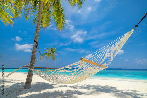 Fototapeta Naklejka Na Ścianę i Meble -  Tranquil relax beach as summer island landscape with beach swing or hammock on palm, freedom tropical sunny sea sky. Amazing beach panorama vacation and summer holiday concept. Inspire carefree travel