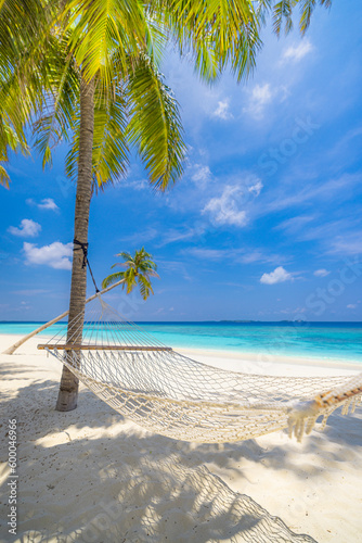 Tranquil relax beach as summer island landscape with beach swing or hammock on palm, freedom tropical sunny sea sky. Amazing beach panorama vacation and summer holiday concept. Inspire carefree travel