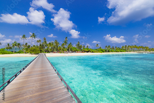 Best travel landscape  beautiful tropical island shore  wooden bridge pier into paradise beach. Palm trees  sunny blue sea sky. Tranquil vacation wallpaper  exotic amazing vacation destination scenic