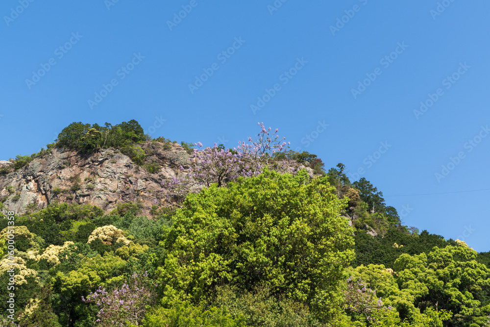 遠見山登山口から見た見晴らし岩（岐阜県川辺町）