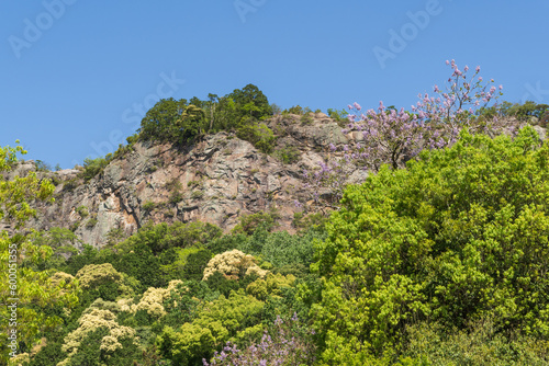 遠見山登山口から見た見晴らし岩（岐阜県川辺町）