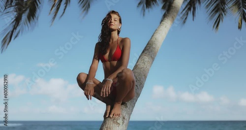 Bikini Beach Girl Model in Red Swimsuit on Palm Tree During Vacations photo