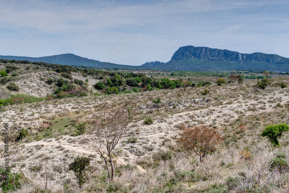 Vue sur le Pic Saint Loup vers Saint-Martin-de-Londres à proximité du Ravin des Arcs dans le département de l'Hérault - région Occitanie