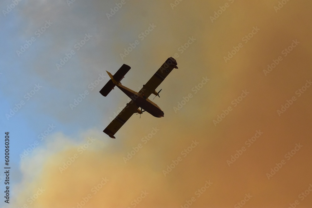 Fotografie Un canadair en action