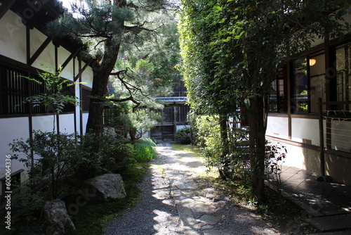 Courtyard of Shoren-in Temple in Kyoto, Japan photo