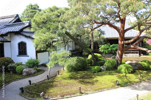 Japanese garden of Shoren-in Temple in Kyoto  Japan