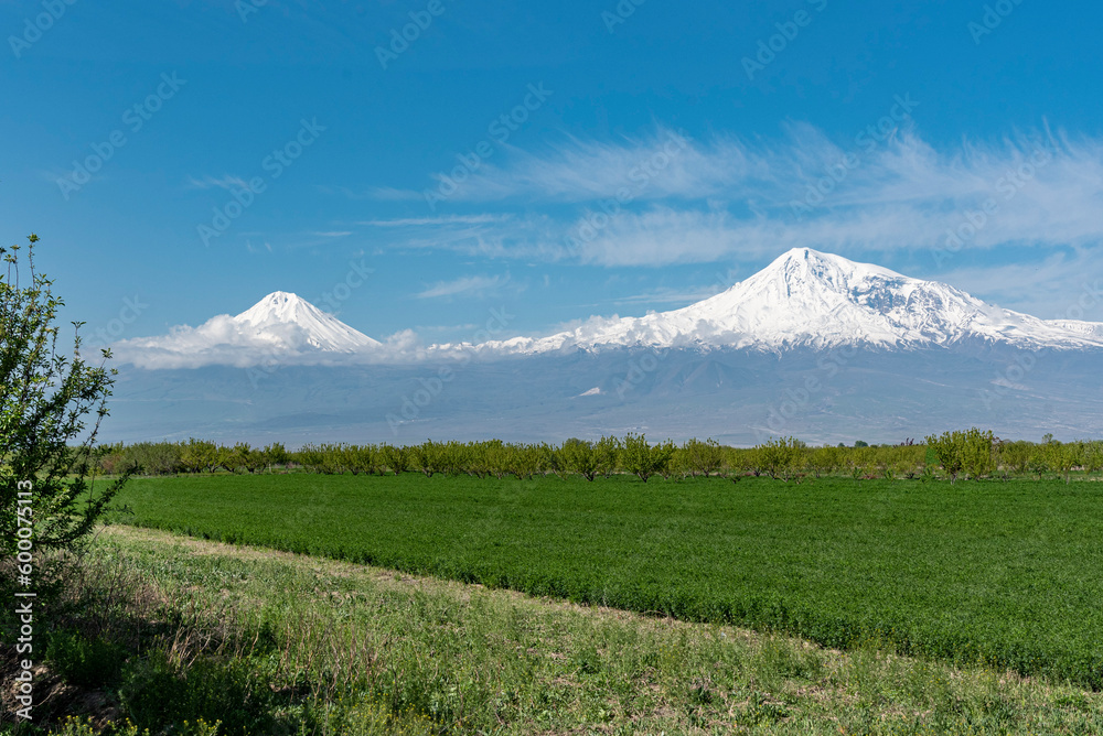 Ararat mountain