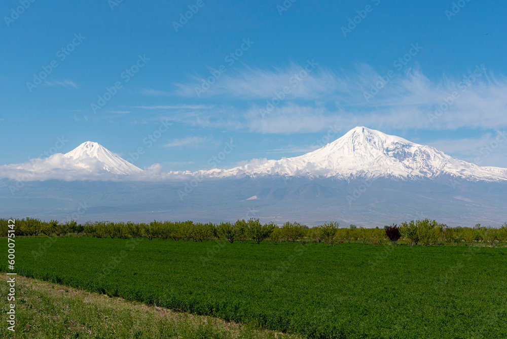 Panoramic view of the Ararat mountain