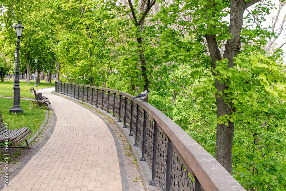 A park in Kyiv, the month of May.