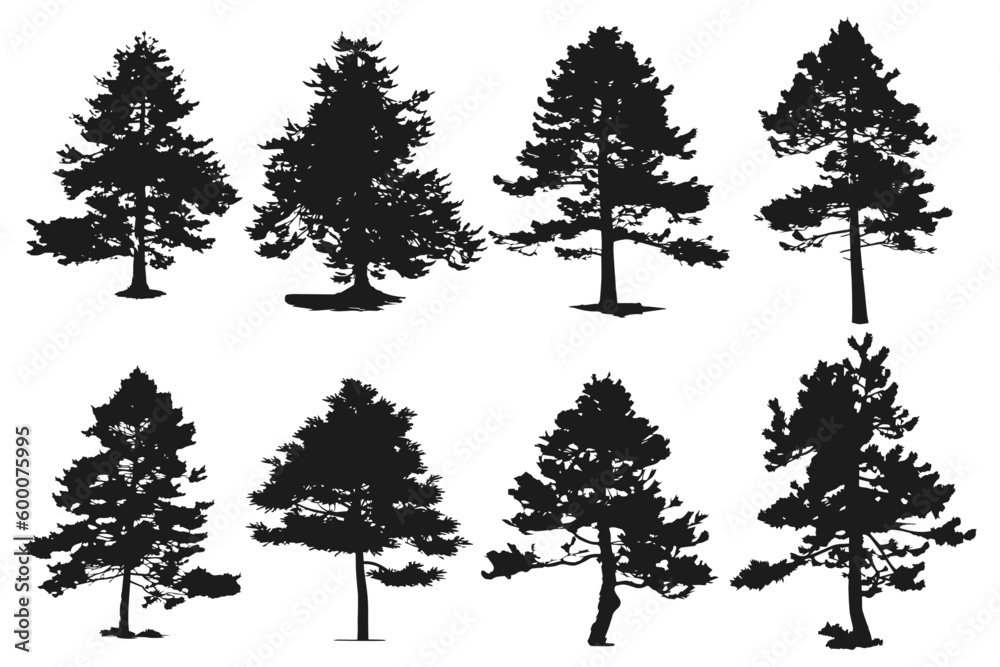 Set of silhouettes of realistic Christmas trees, isolated on a white background, for designs, brochures, booklets, posters, silhouette of pine trees of different sizes and shapes