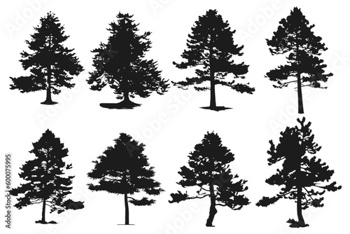 Set of silhouettes of realistic Christmas trees, isolated on a white background, for designs, brochures, booklets, posters, silhouette of pine trees of different sizes and shapes