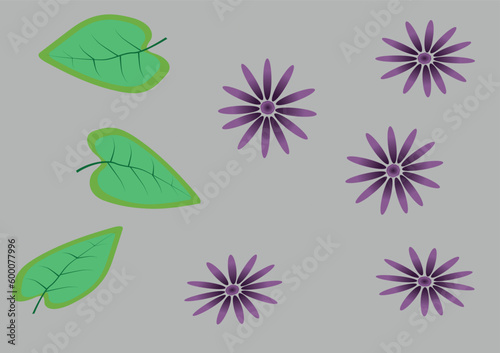 Flower and plants isolated set. Bundle of floral elements. Vector illustration.