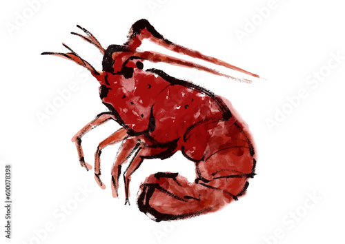 伊勢海老の手描き和風イラスト
