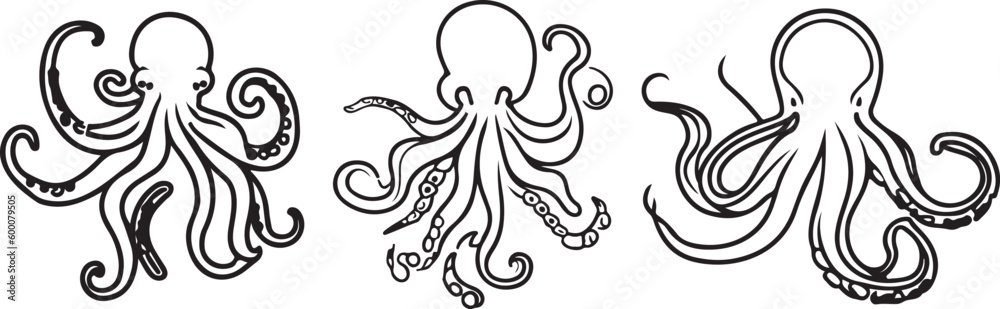 Octopus Line art vector silhoutte Octopus Line art vector silhoutte
