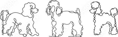 Poodle Line art vector silhoutte 