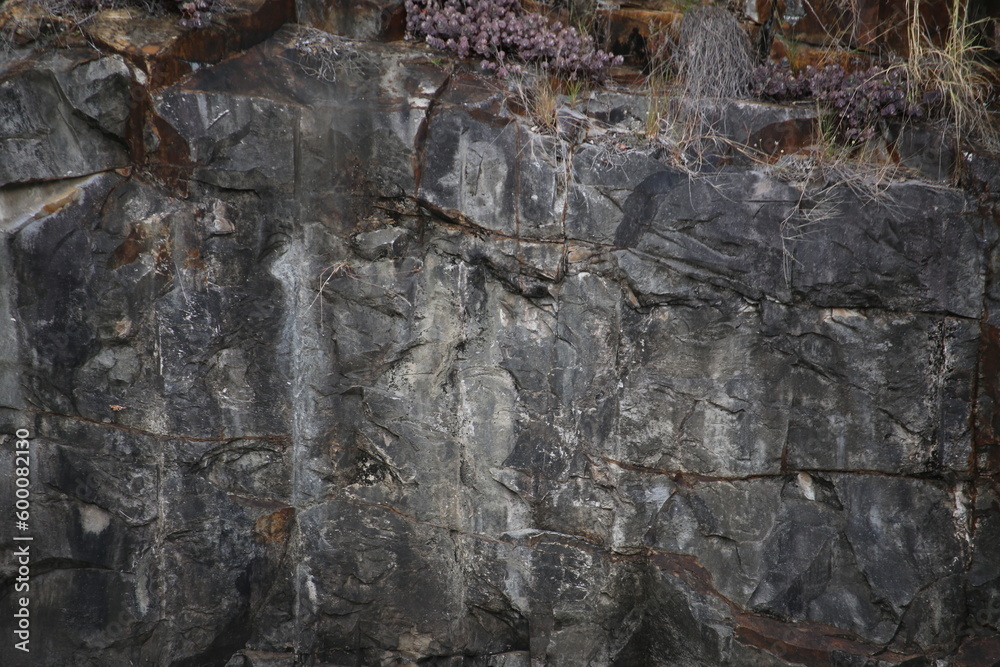 Fototapeta premium exposed rock wall texture