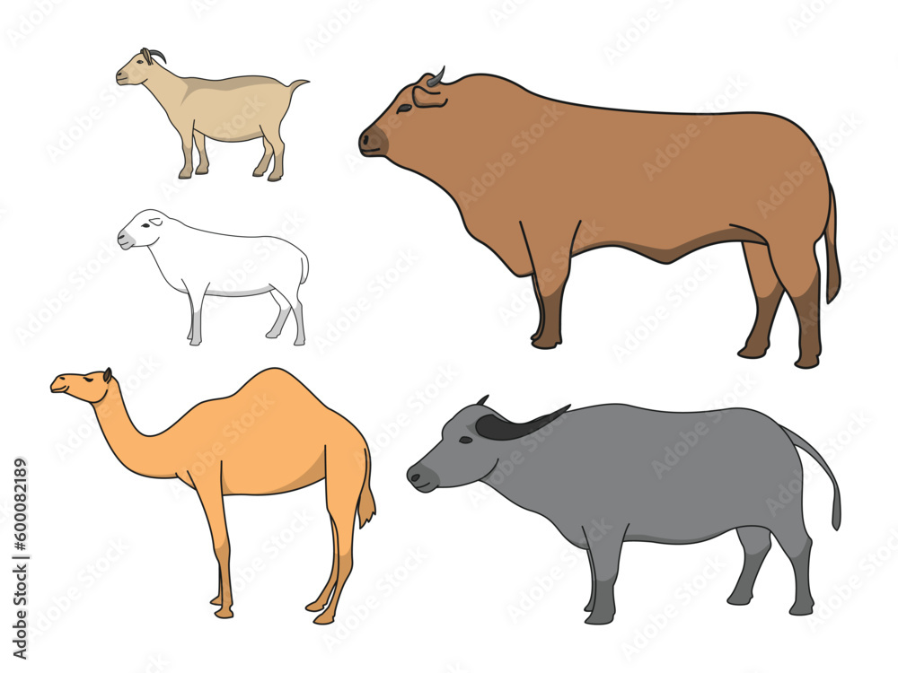 illustration set of animals for holiday sacrifice. Cow goats, sheep and camels