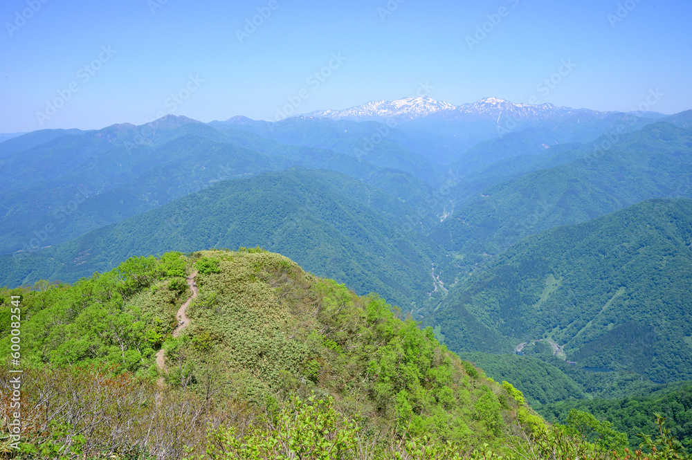 Fototapeta premium 荒島岳から望む白山