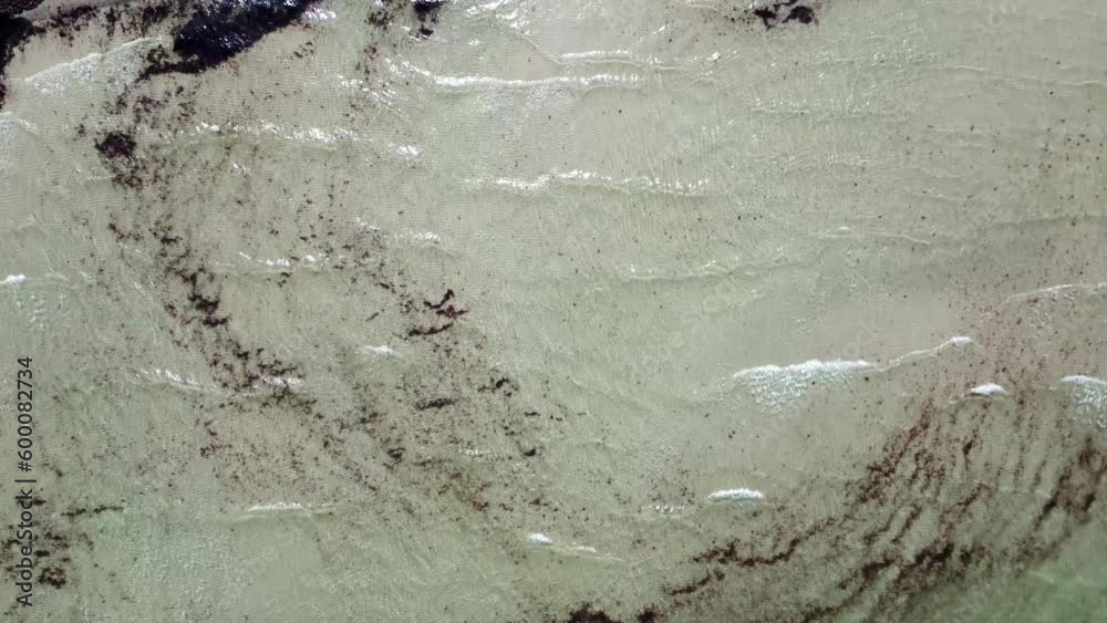 Baltic Sea Beach Water Waves - Drone Aerial View at the Coast Line 50 FPS Baltic Sea Beach Water Waves - Drone Aerial View at the Coast Line 50 FPS
