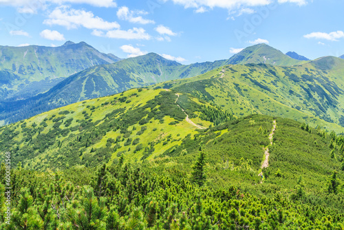 View from the top of Grześ or Lúčna on the blue trail leading to the main ridge of the Western Tatras. In the background the peaks (from the right): Wołowiec, Łopata and Jarząbczy Wierch. photo