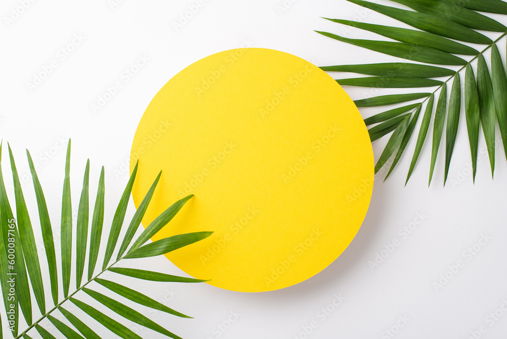 Above top view photo of empty yellow circle for advertising or branding surrounded with green palm leaves isolated on white background - obrazy, fototapety, plakaty 
