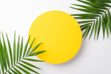 Above top view photo of empty yellow circle for advertising or branding surrounded with green palm leaves isolated on white background