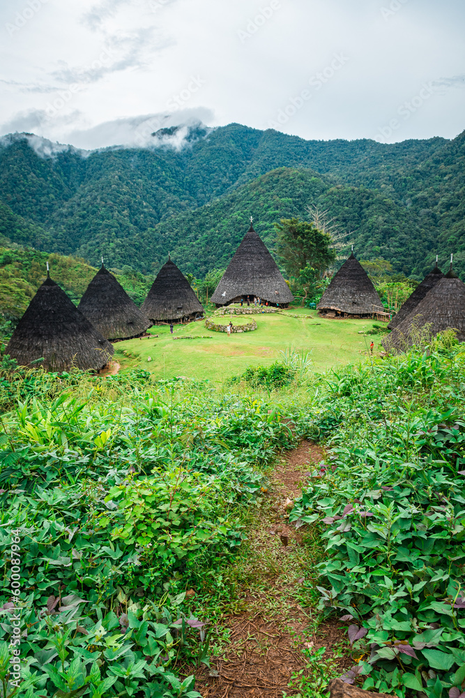 panoramic view of wae rebo village, indonesia