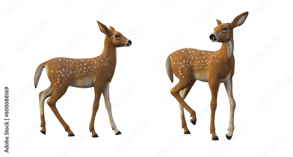 3d render deer and fawn