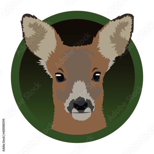 Realistic roe deer head illustration