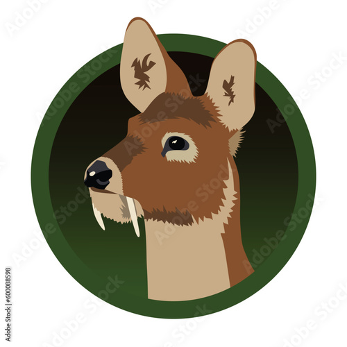 Realistic musk deer head vector illustration