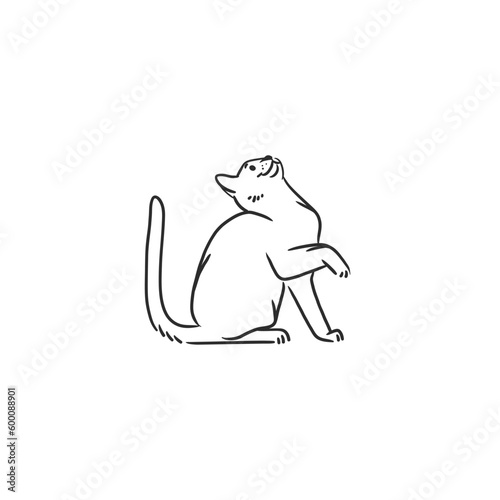 Hand drawn vector abstract graphic line art collection with adorable cute funny cartoon cat character.Vector illustration of funny cartoon outline cat in trendy line style. Drawing line art cat icon.