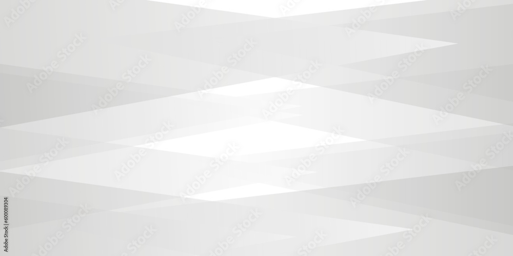 Obraz premium Abstract background with lines . Gray and white texture background blank. white and gray paper triangle abstract background. white paper texture and bussniess ,card,flyer,brousher background.