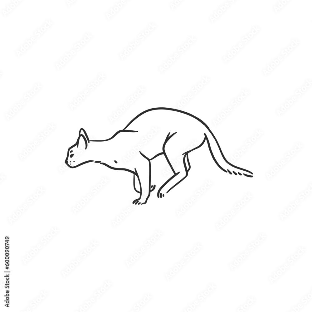 Fototapeta premium Hand drawn vector abstract graphic line art collection with adorable cute funny cartoon cat character.Vector illustration of funny cartoon outline cat in trendy line style. Drawing line art cat icon.