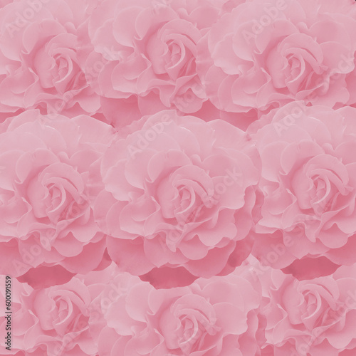 Many pink pale roses collage template