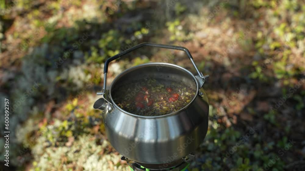 Herbal tea is cooked in a tourist kettle in the forest. Herbal tea is cooked in a tourist kettle in the forest.