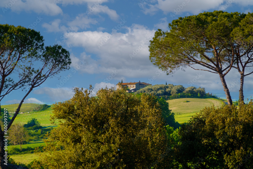 Fototapeta premium paesaggio toscano