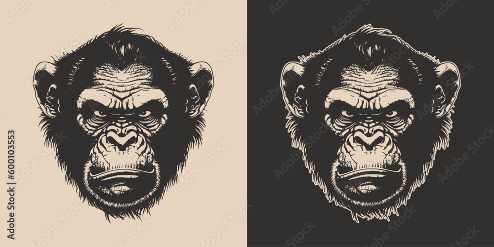 Set of vintage retro angry monkeys. Can be used for logo, emblem, poster, dadge design. Monochrome Graphic Art. Engraving style