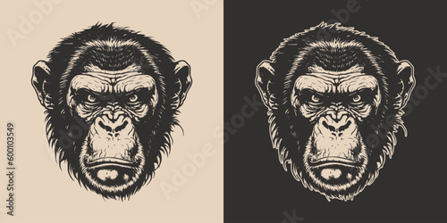 Set of vintage retro angry monkeys. Can be used for logo, emblem, poster, dadge design. Monochrome Graphic Art. Engraving style