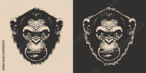 Set of vintage retro angry monkeys. Can be used for logo, emblem, poster, dadge design. Monochrome Graphic Art. Engraving style