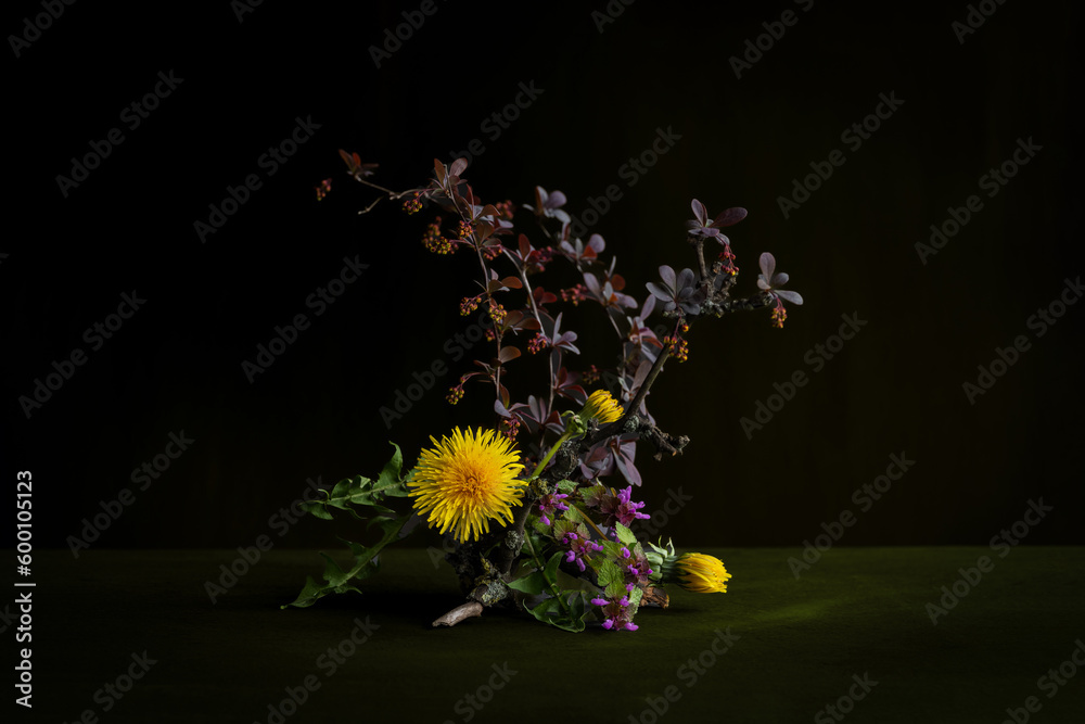 Exquisite, delicate, romantic, floral composition. On the snag are yellow dandelions, wild flowers and herbs. Taraxacum officinal. dandelion yellow flower Exquisite, delicate, romantic, floral composition. On the snag are yellow dandelions, wild flowers and herbs. Taraxacum officinal. dandelion yellow flower