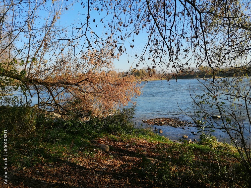 River Bank in Autumn