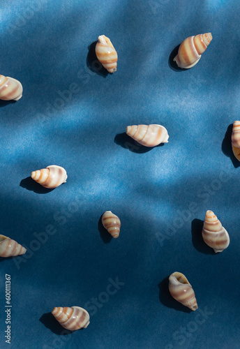 Seashells with underwater shadows on the blue background top view.