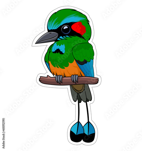 Cute Vector cartoon browed motmot bird sticker
