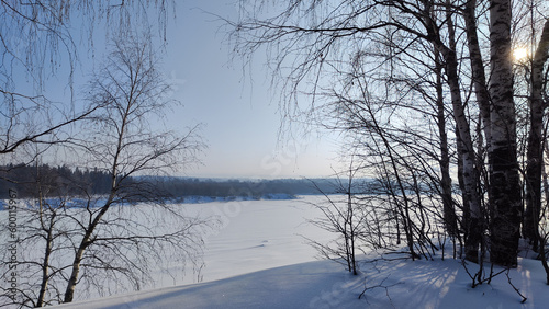 Winter landscape with trees on a cliff and a view from a height of a frozen river or a field with snow on a cold sunny day with a blue sky