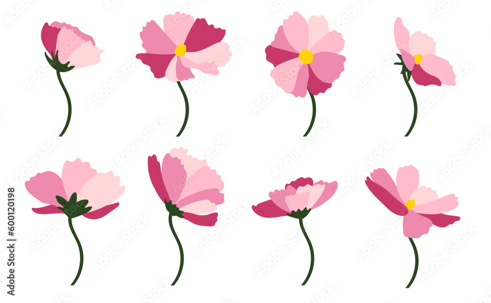 Daisy flower background.Eps 10 vector.