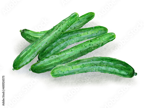 An image of cucumbers, digitally generated from a watercolor painting
